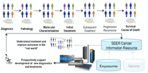 A schematic of how cancer surveillance data will be captured from an entire patient population, with molecular information fed through the National Cancer Institute's SEER data base. Image courtesy of Georgia Tourassi, Oak Ridge National Laboratory.